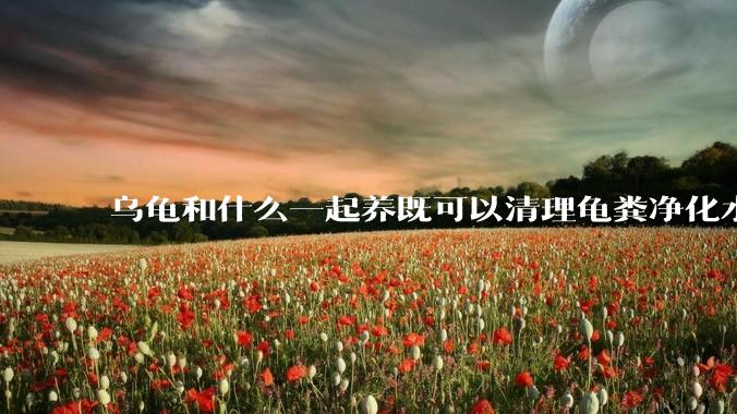 乌龟和什么一起养既可以清理龟粪净化水质又可以当龟食物？