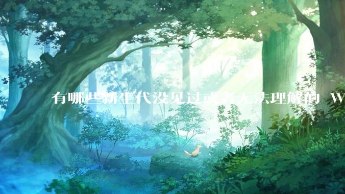 有哪些新生代没见过或者无法理解的 Windows XP 7 时代的事情？